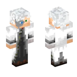 Minecraft Skin #256262